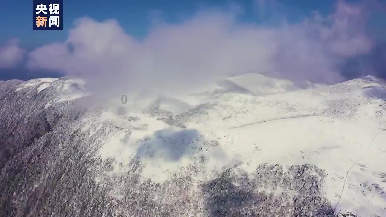 毛伟卸任鸿博股份有限公司法定代表人，倪辉接任