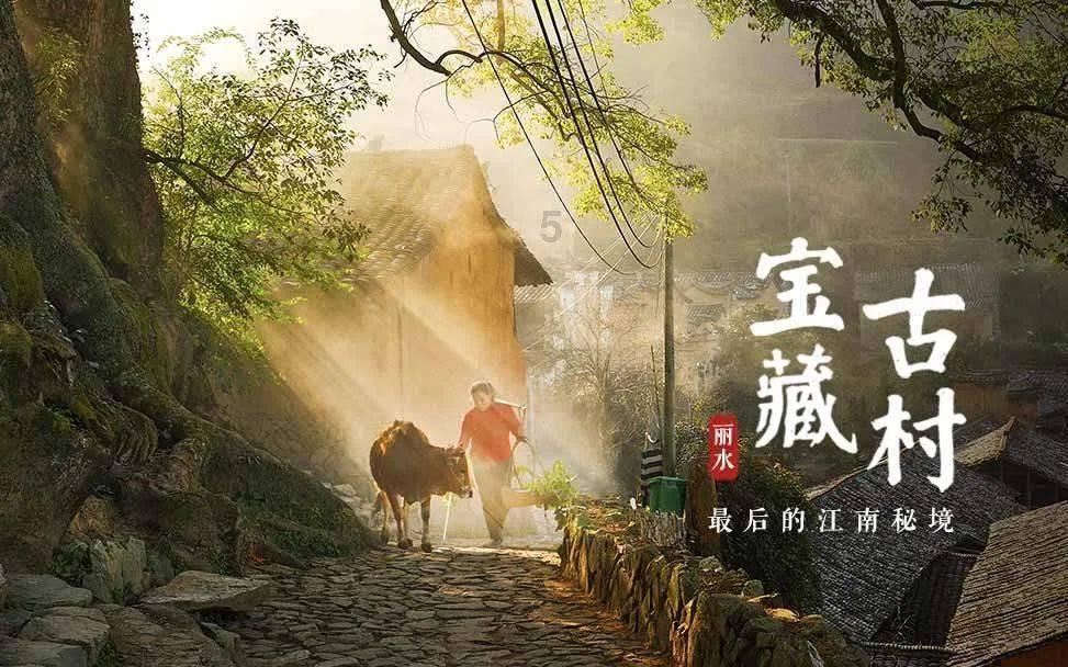 逗小猴开心系列185